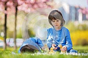 Cute little children, boy brothers, playing with ducklings springtime