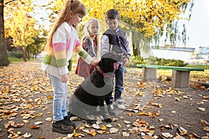 Cute little children with dog in autumn park