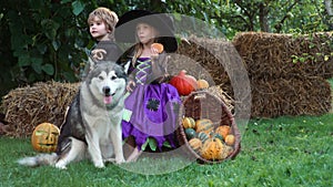 Cute little children and dog with carving pumpkin in garden. Happy family preparing for Halloween. Funny kids at