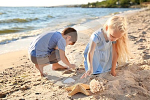 Cute little children gathering sea shells on beach