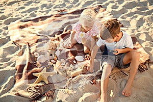 Cute little children playing with sea shells on beach