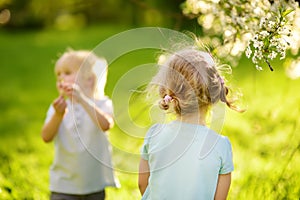 Cute little children playing together in sunny park