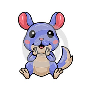 Cute little chinchilla cartoon sitting