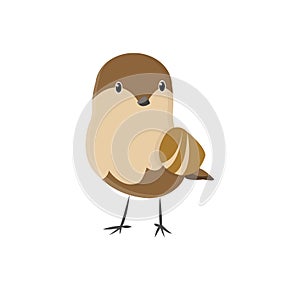 Cute little colorful bird isolated on white background. Common house sparrow. Small bird in cute cartoon style. Isolated