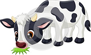 Cute little cow cartoon eating grass