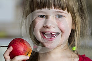 A cute little curly toothless girl smiles and holds a red apple. Portrait of a happy baby eating a red apple. The child loses milk