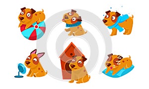 Cute Little Dog Cartoon Character Set, Funny Brown Puppy in Different Situations Vector Illustration