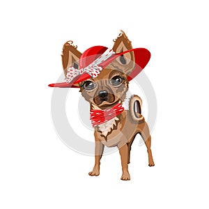 Cute little dog in a red hat with a bow
