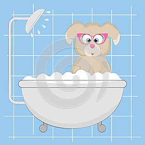 Cute little dog in the shower.