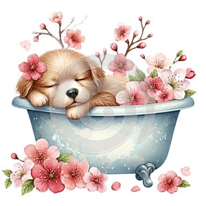 cute little dog sleeping in a bathtub cherry blossoms