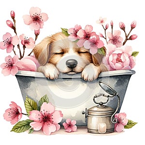 cute little dog sleeping in a bathtub cherry blossoms