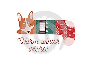Cute little dog sleeping in Christmas stocking. Warm winter wishes vector greeting card design element. Cartoon canine