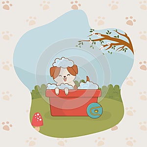 Cute little doggy mascot character