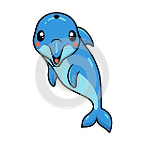 Cute little dolphin cartoon posing