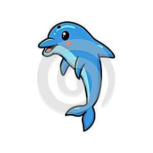 Cute little dolphin cartoon posing