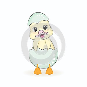 Cute Little Duck in the egg cartoon illustration