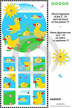 Cute little ducklings visual logic puzzle