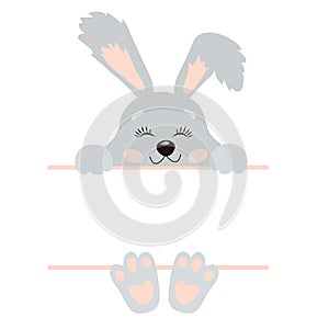 Cute Little Easter Bunny Vector Illustration