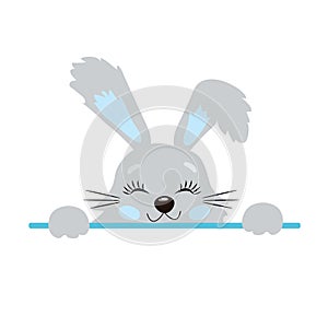 Cute Little Easter Bunny Vector Illustration