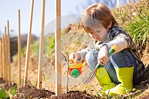 Cute little farmer working with spud on spring field. Little gardener. Kid planting flowers in pot. Son planting flowers