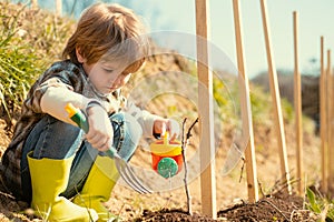 Cute little farmer working with spud on spring field. Little gardener. Kid planting flowers in pot. Son planting flowers