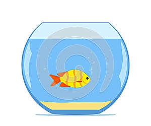 Cute little fish in aquarium. Colorful exotic fish in a fishbowl with sand on the bottom. Vector illustration