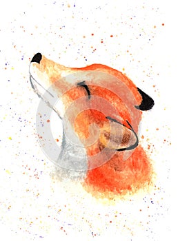 Cute little fox face. Watercolor.