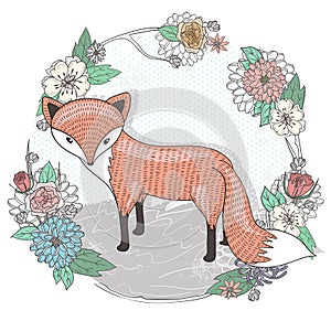 Cute little fox illustration