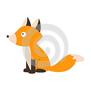 Cute little fox isolated. Cartoon animal character for kids cards, baby shower, invitation, poster, t-shirt, house decor. Vector