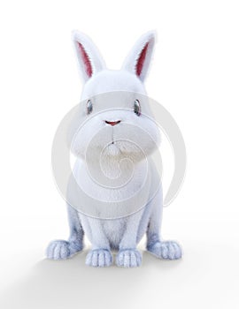 Cute little furry white bunny rabbit on a white background.