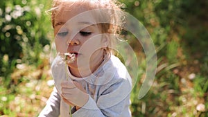 Cute little girl blow on a dandelion on spring sunny background