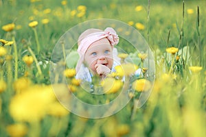 Cute little girl blowing on dandelions on meadow.