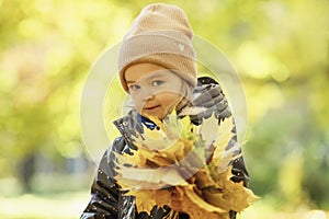 Cute little girl with a bouquet of yellow maple leaves in the park. Walking outdoors in golden autumn. Close-up