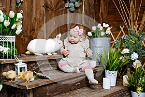 Cute little girl with a bunny rabbit. Little girl playing with rabbit.