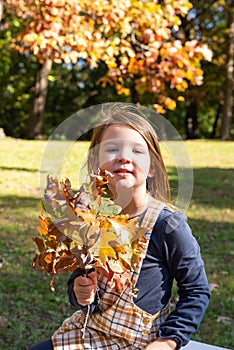 Cute little girl collecting oak leaves in autumn