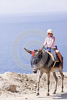 Lindo pequeno es un feliz su burro conducir de acuerdo a Océano 