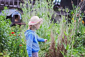 Cute little girl exploring the nature in beautiful spring day