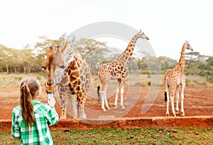 Cute little girl feeding giraffes in Africa