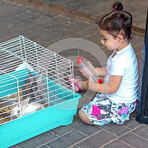 Cute little girl feeding rabbit on the farm. Toddler child give water to the animal from feeding water bottle.