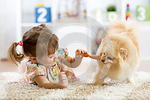 Cute little girl is feeding sausages to her dog