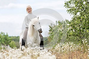 Cute little girl feeding a white Shetland pony