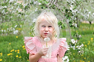 Cute Little Girl In Flowering Apple Orchard Blowing Dandelion Seeds Outside