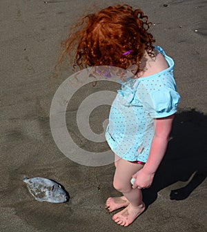 Cute little girl has found old fish in the beach