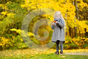 Cute little girl having fun on beautiful autumn day. Happy child playing in autumn park. Kid gathering yellow fall foliage.