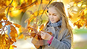 Cute little girl having fun on beautiful autumn day. Happy child playing in autumn park. Kid gathering yellow fall foliage.