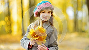 Cute little girl having fun on beautiful autumn day. Happy child playing in autumn park. Kid gathering yellow fall foliage.