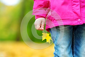 Cute little girl having fun on beautiful autumn day. Happy child playing in autumn park. Kid gathering yellow fall foliage.