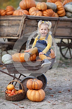 Cute little girl having fun with huge pumpkins on a pumpkin patch.