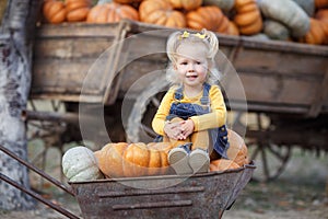 Cute little girl having fun with huge pumpkins on a pumpkin patch.