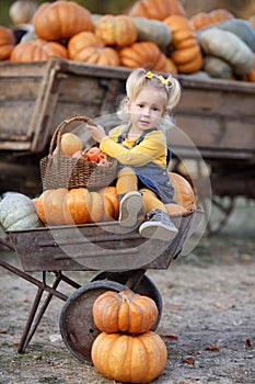 Cute little girl having fun with huge pumpkins on a pumpkin patch.